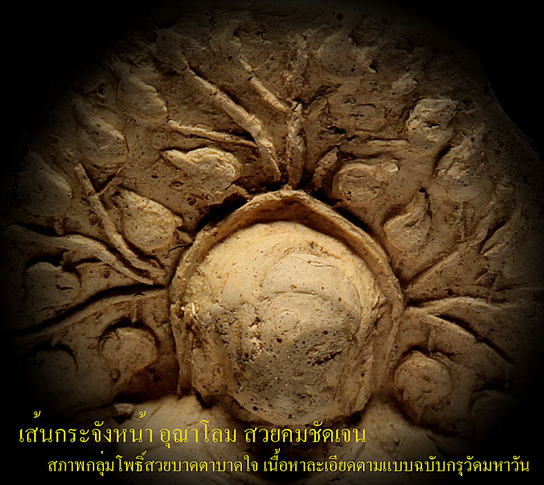 พระคงมหาวัน โพธิ์เด้ง ๆ พระคงมหาวัน โพธิ์เด้ง ๆ