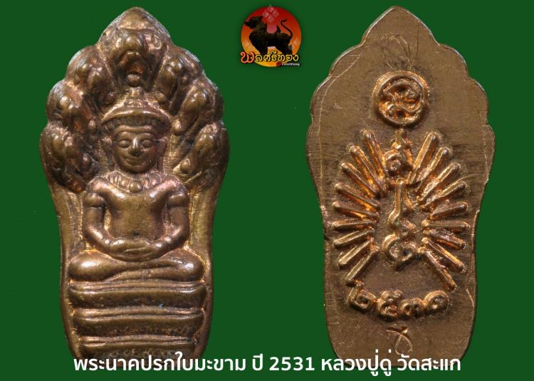 พระนาคปรกใบมะขาม ปี 2531 หลวงปู่ดู่ วัดสะแก