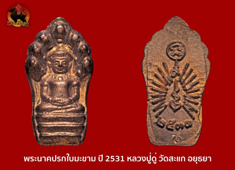 พระนาคปรกใบมะขาม ปี 2531 หลวงปู่ดู่ วัดสะแก จังหวัด