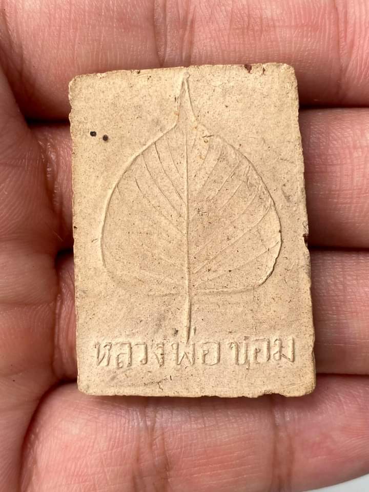 สมเด็จหลังปรกโพธิ์ หลวงพ่อขอมวัดไผ่โรงวัว