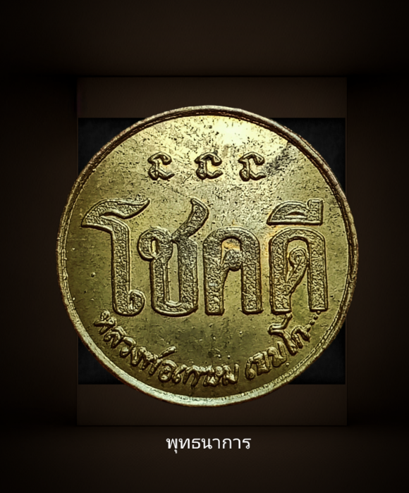 เหรียญโชคดี 