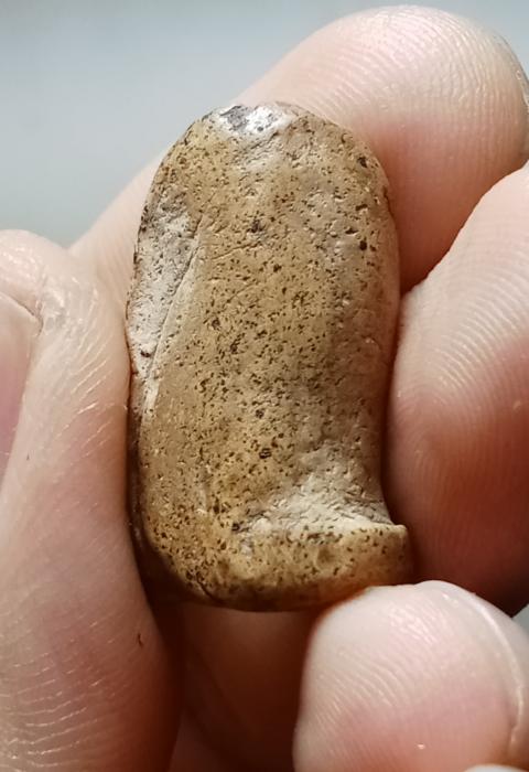 พระคงกรุเก่า ฟอร์มเต็ม