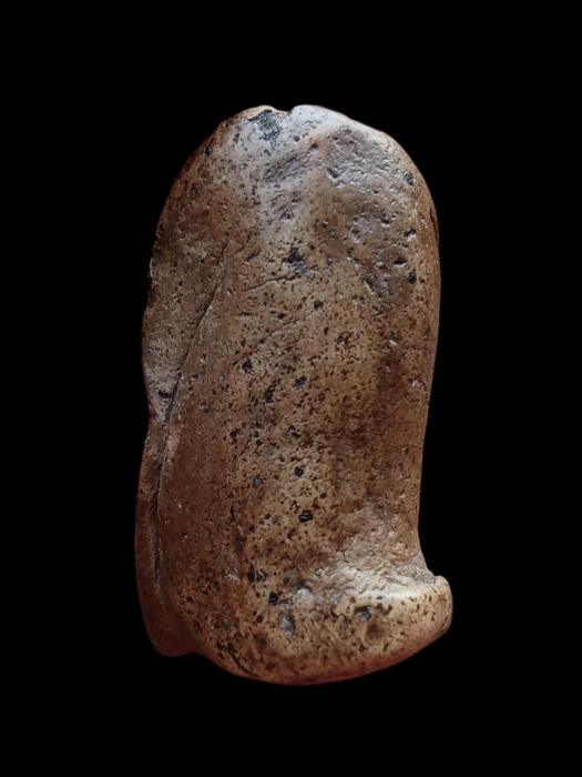 พระคงกรุเก่า ฟอร์มเต็ม