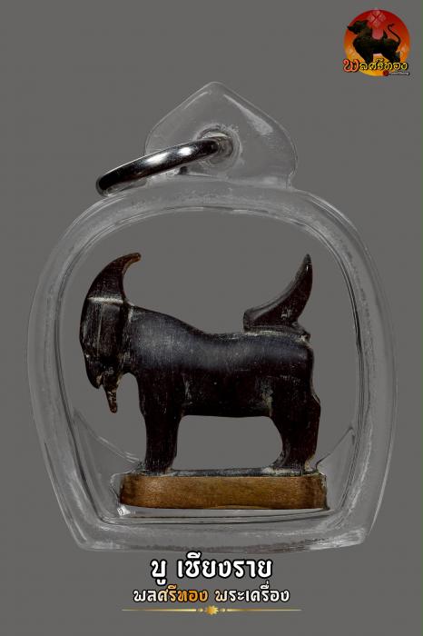 แพะจันทร์เพ็ญ รุ่นประวัติศาสตร์ วัดหนองกะบอก