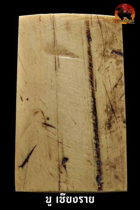 สมเด็จงาแกะ หลวงพ่อกวย ปี2521