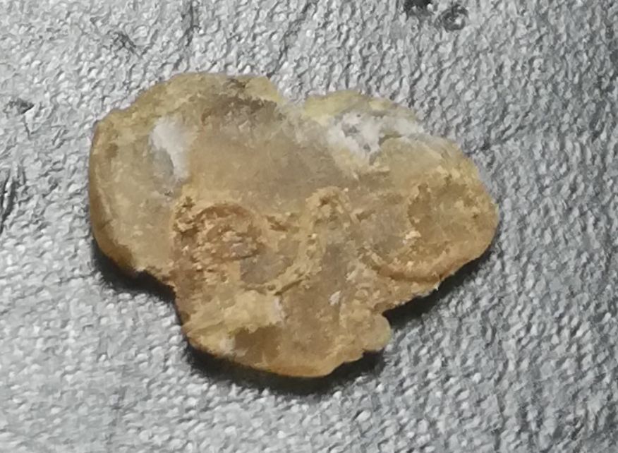 พระรอดวัดพระสิงห์หน้าหนูใหญ่จารหลวงพ่อเงิน