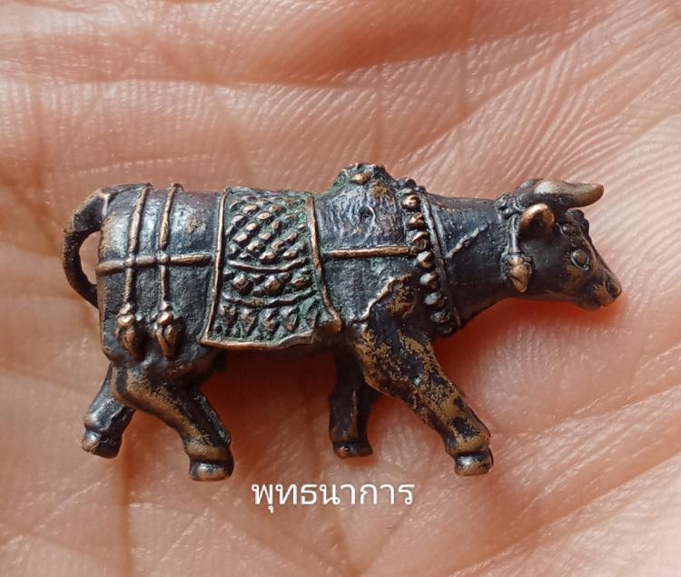 วัวธนูทรงเครื่อง เนื้อนวะวัดท่าแหน